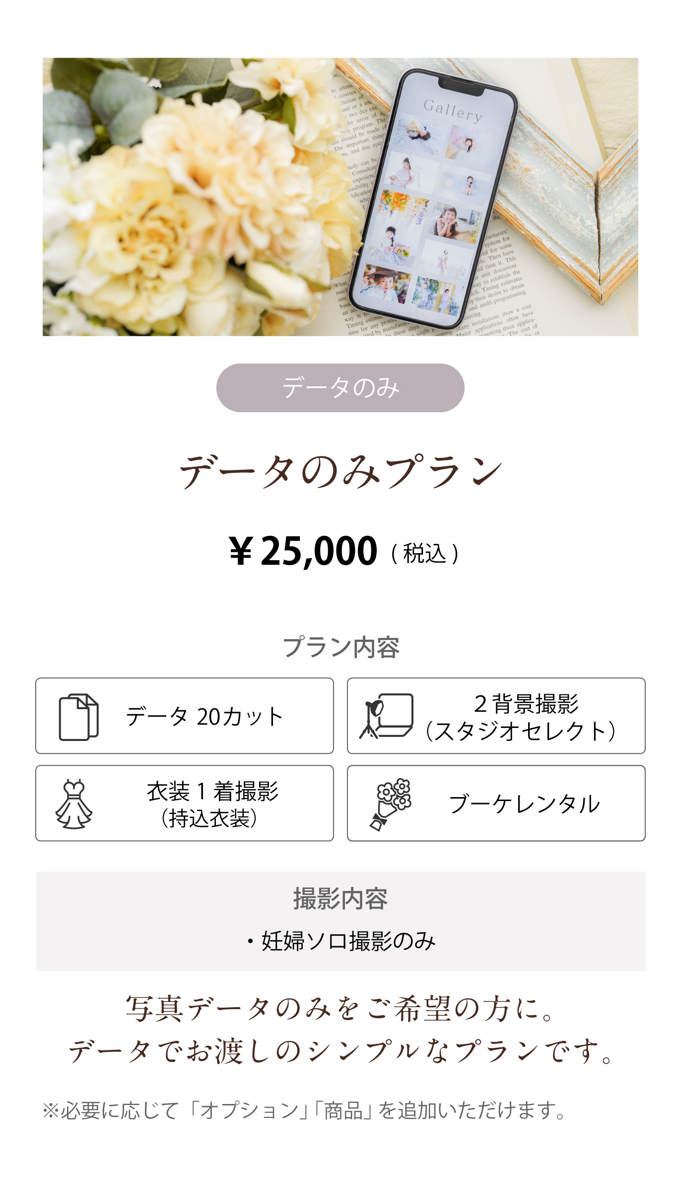 データのみプラン